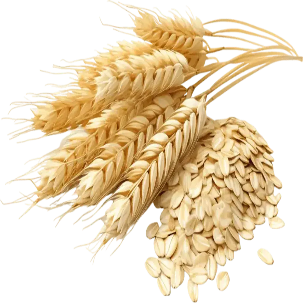 Dental support for bad breath