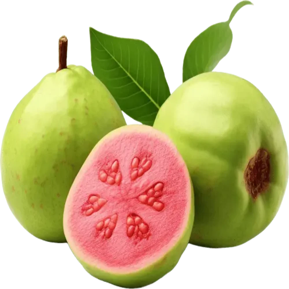 ingredients for urgent teeth care