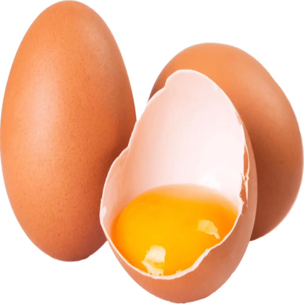 advantages of synadentix